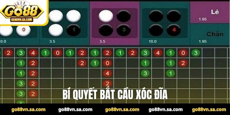 Bí quyết bắt cầu xóc đĩa