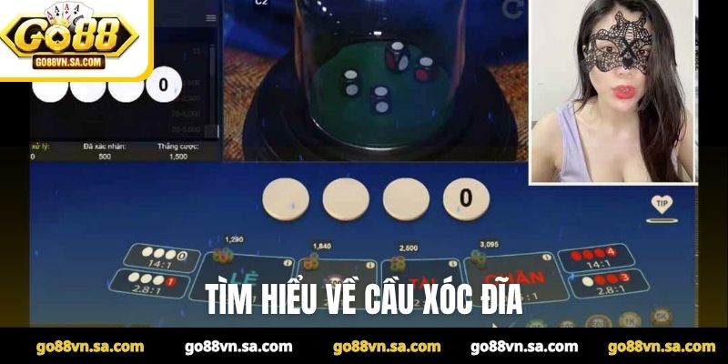 Tìm hiểu về cầu xóc đĩa